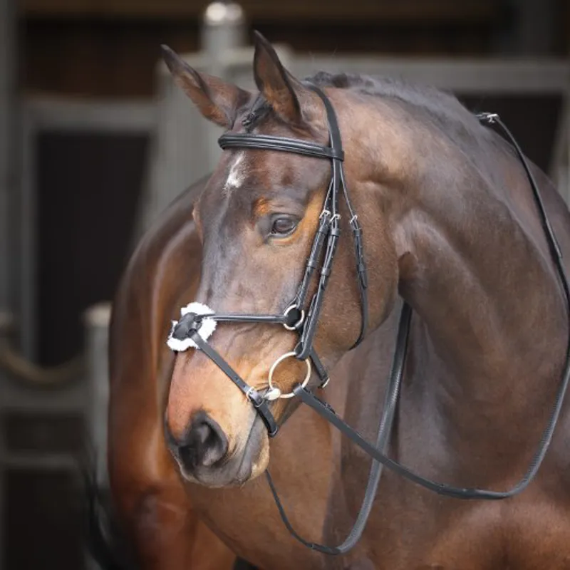 Rênes Anglaises Avalon En Cuir Lacé 56 Pouces - Équitation, Occasion En Bon état
