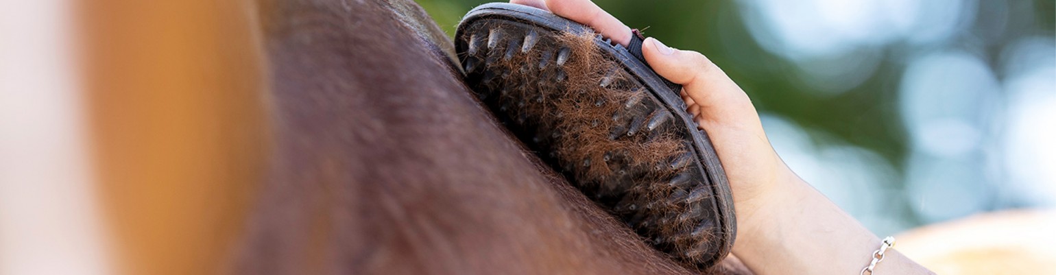 Horse Grooming Curry Combs, Cactus Mits, Strapping Pads