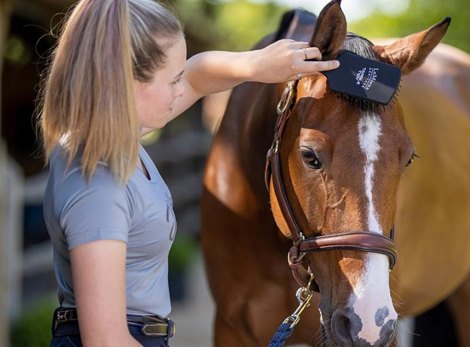 Horse Grooming Mane and Tail Rakes