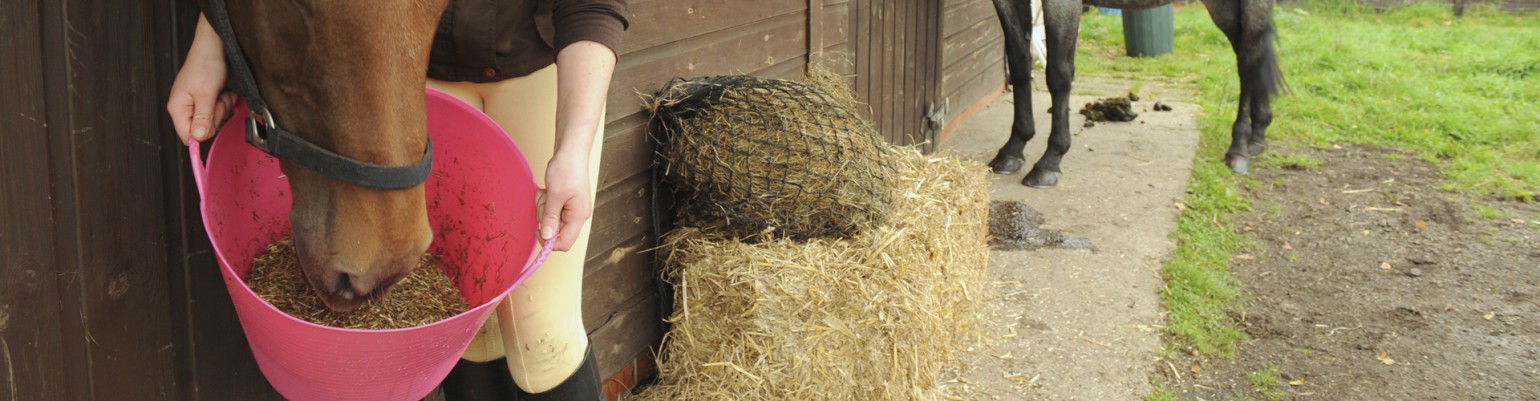 Feed and Water Buckets