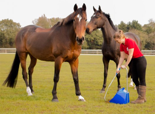 Poop Scoops/Manure Collectors