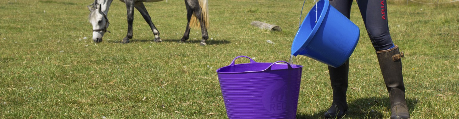 Equestrian Yard Equipment