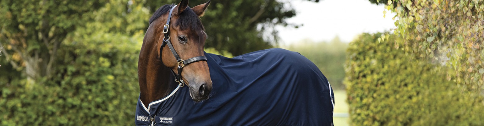 Summer Sheet Horse Rugs