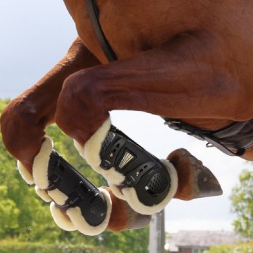 Horse Boots
