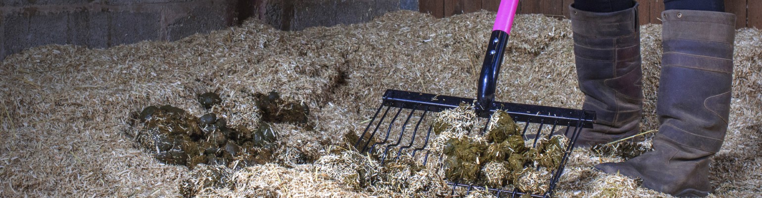 Stable Rakes, Forks, Shovels and Brooms