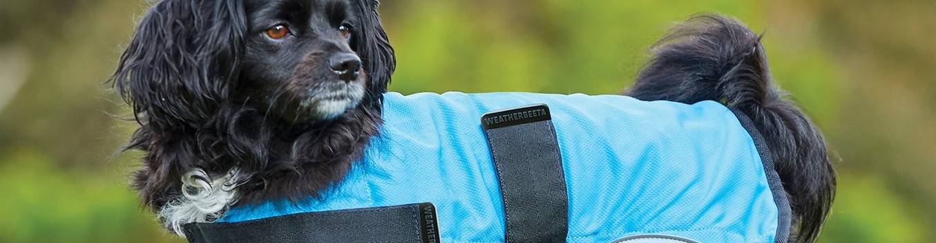 Aquamat online cooling coat