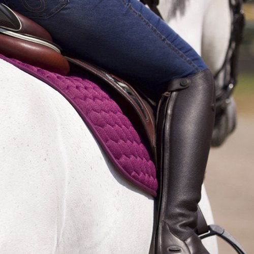 Numnahs & Saddle Pads