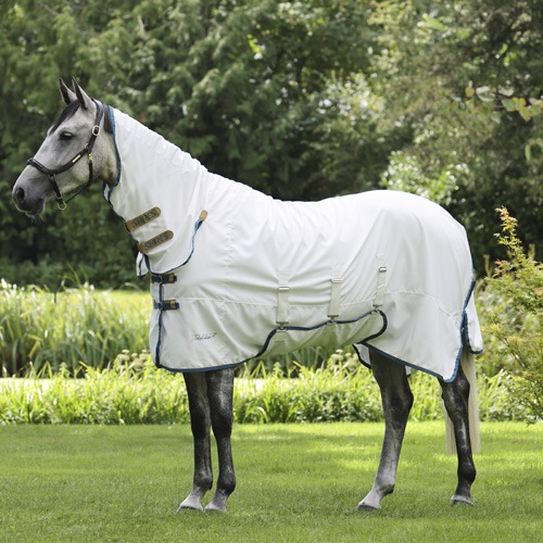 Horse Rugs