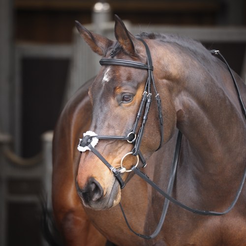 Saddlery
