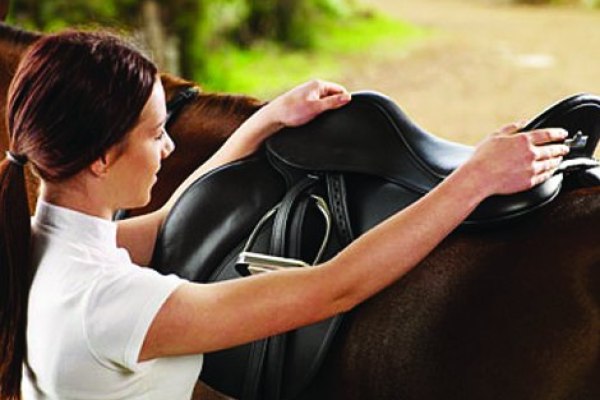 Saddles