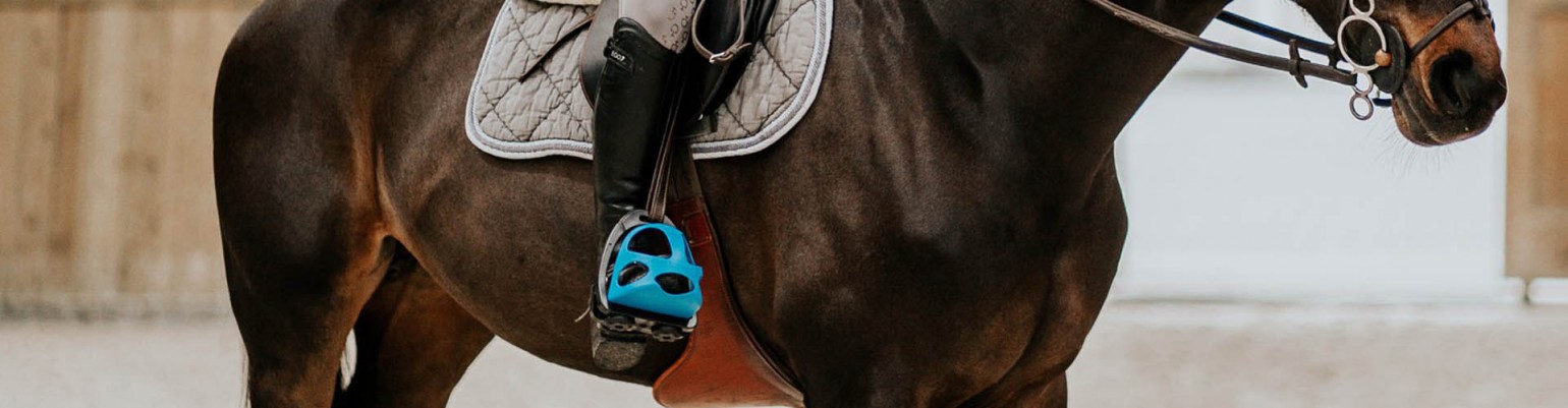 Stirrup Irons and Treads