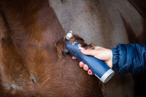 Horse Clippers