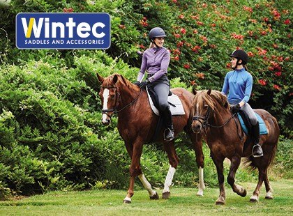 Wintec Saddles