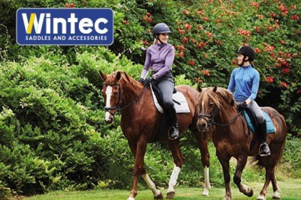 NEW Wintec Saddles with Hart
