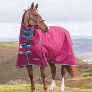 Horse Winter Turnout Rugs