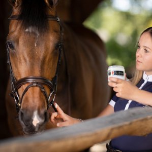 Horse Accessories 