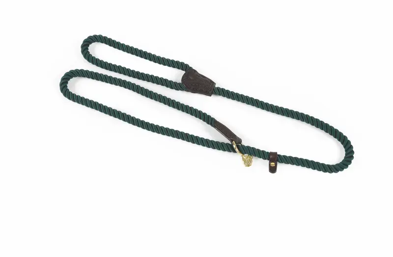 Digby and Fox Rope Slip Dog Lead in Green