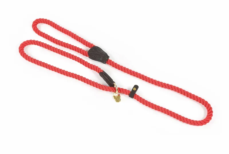 Digby and Fox Rope Slip Dog Lead in Red