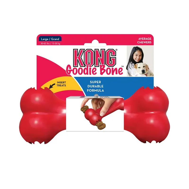 Kong Small Goodie Bone Toy