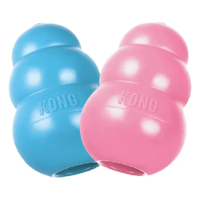 Kong Small Puppy Classic in Pink/Blue