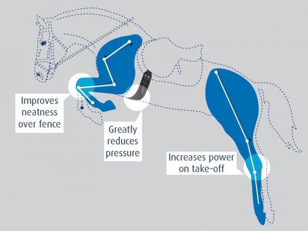 ProLite... A leading brand in saddle accessories! 