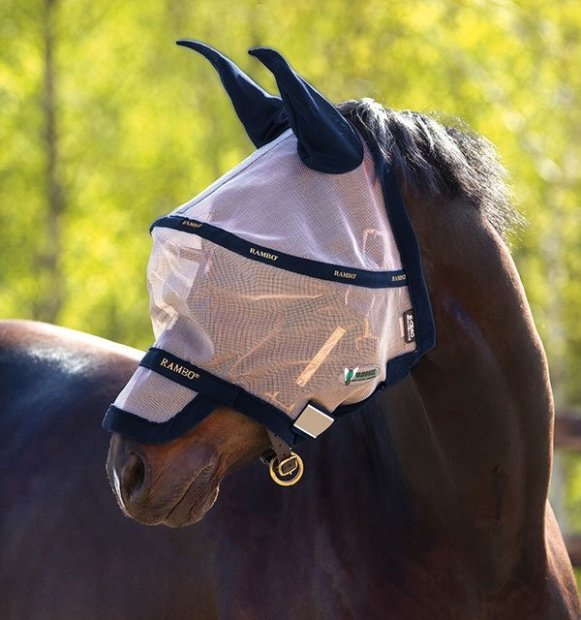 Fly Masks to help with the flies .....