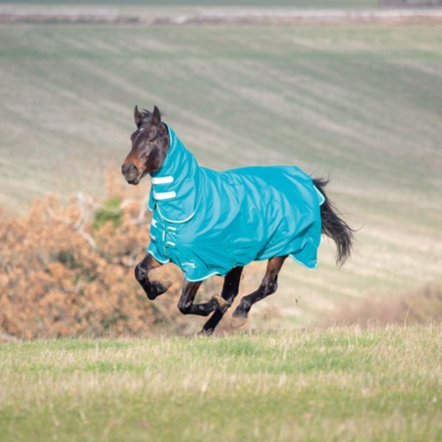 Head into Autumn with Shires Rugs at Townfields Saddlers! 