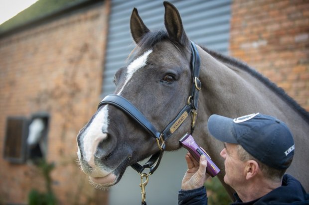 Clipping Season is Fast Approaching!