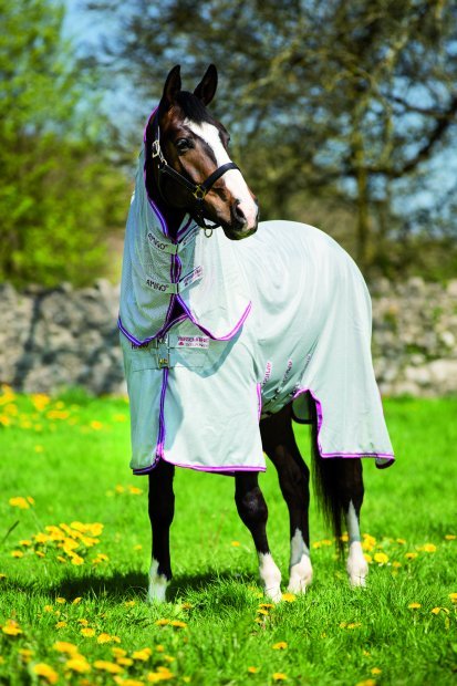 Great Customer feedback on Amigo Bug Buster Vamoose Fly Rug !!