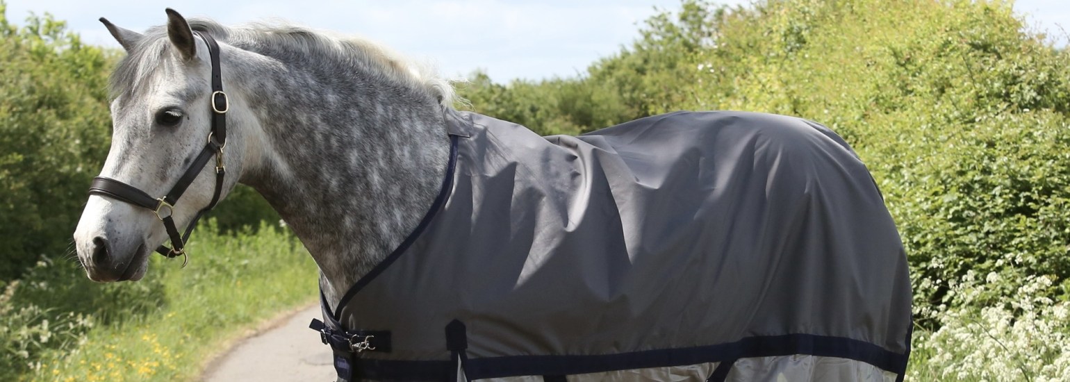 Townfields Summer Rugs, great quality and fit, perfect for the Summer months to help with the weather and the flies. Take a look !
