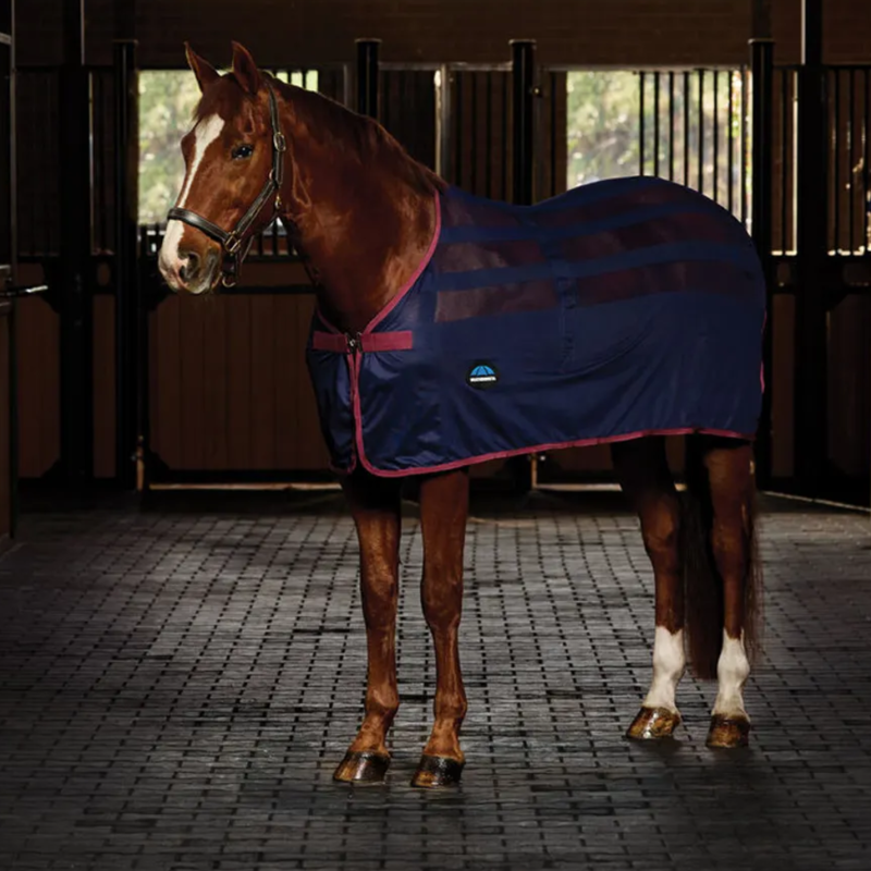 Weatherbeeta Scrim Cooler Standard Rug In Navy/Burgundy