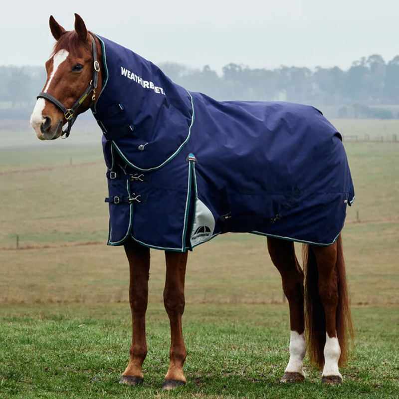 Weatherbeeta Comfitec Plus Dynamic Detach-a-Neck 220g  Rug In Navy/ Forest Green