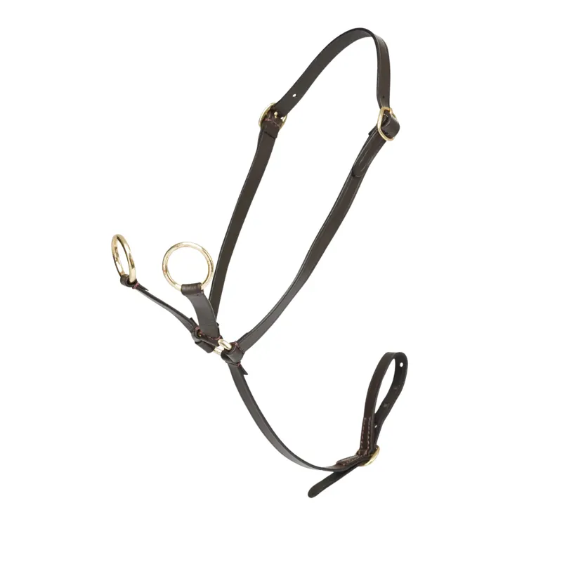 LeMieux Toy Pony Martingale in Brown