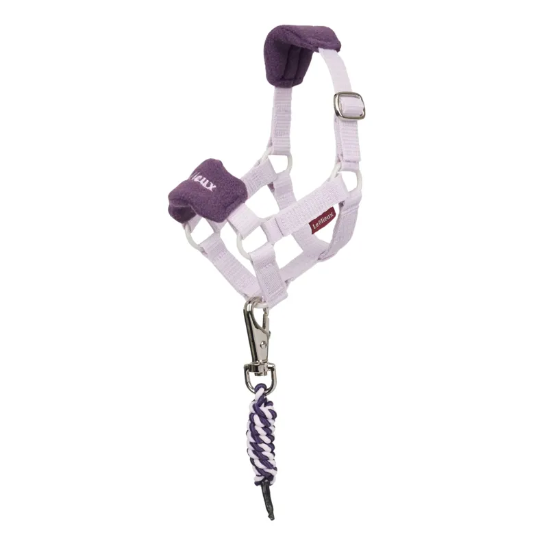 LeMieux Toy Pony Vogue Headcollar and Leadrope in Lilac