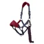 LeMieux Vogue Headcollar and Leadrope in Burgundy and Navy