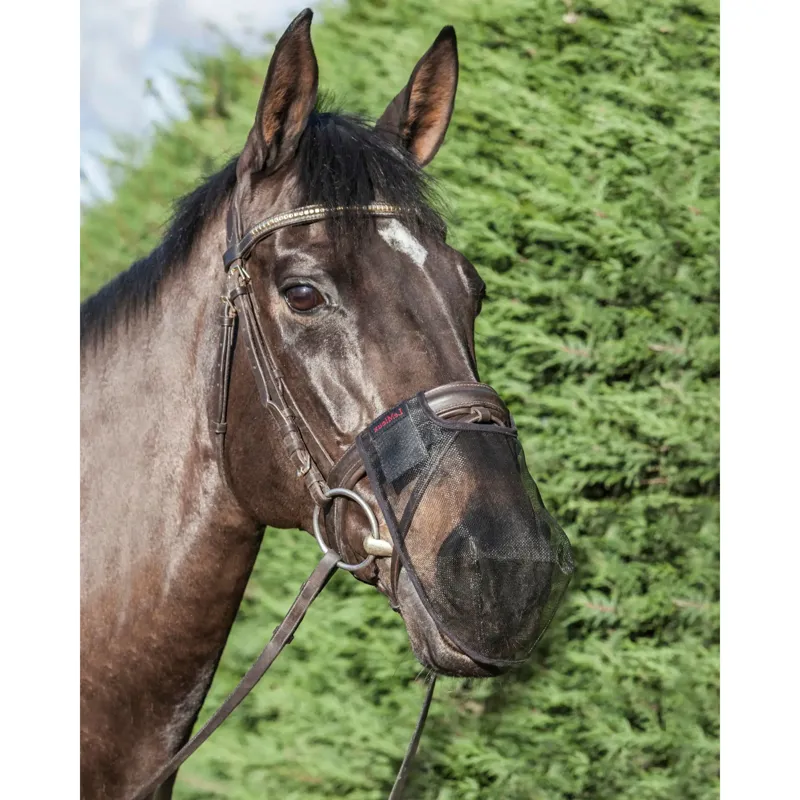 Lemieux Comfort Shield Nose Filter in Black-1