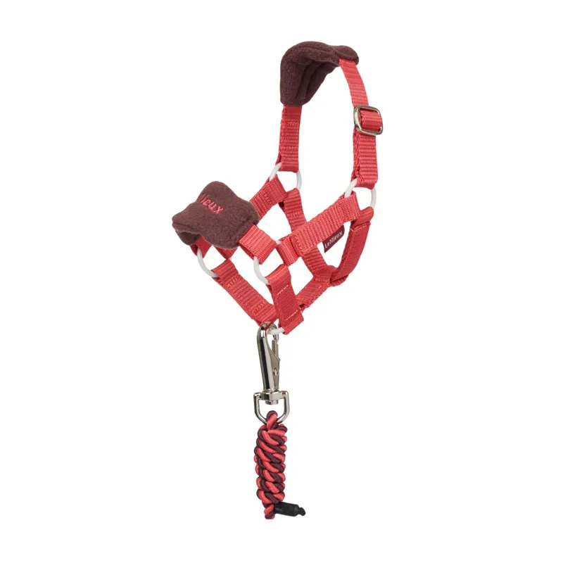 LeMieux Toy Pony Vogue Headcollar And Leadrope In Cranberry