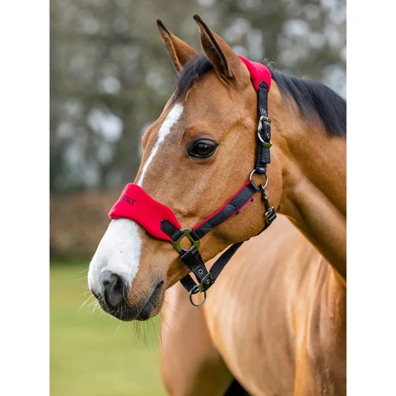 LeMieux Vogue Headcollar and Leadrope in Chilli-1