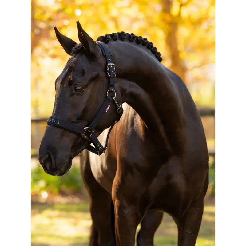 LeMieux Essence Headcollar in Black-1