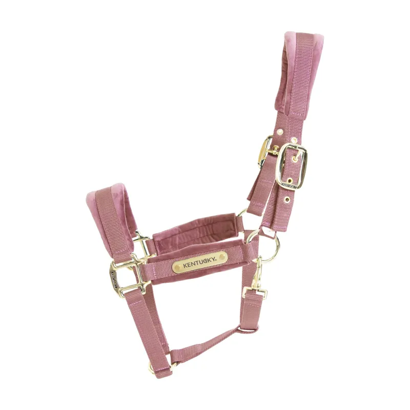Kentucky Velvet Halter in Old Rose