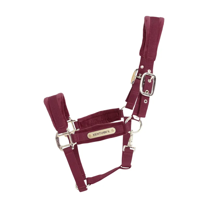 Kentucky Velvet Halter in Bordeaux
