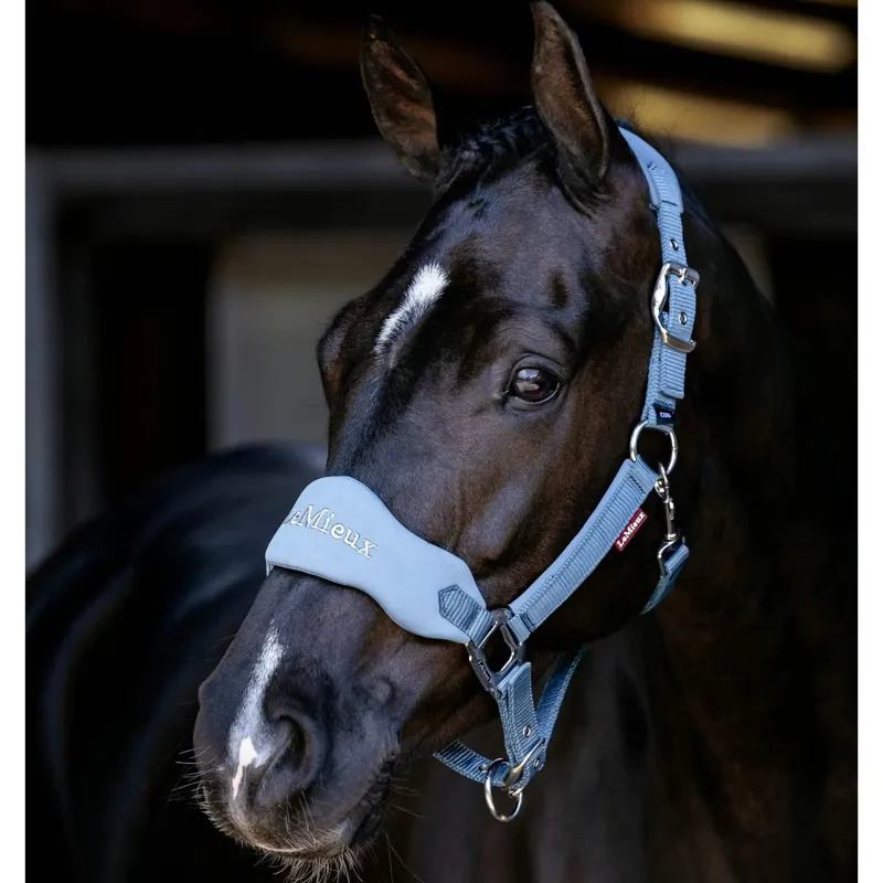 LeMieux Breakaway Vogue Headcollar in Ice Blue-1