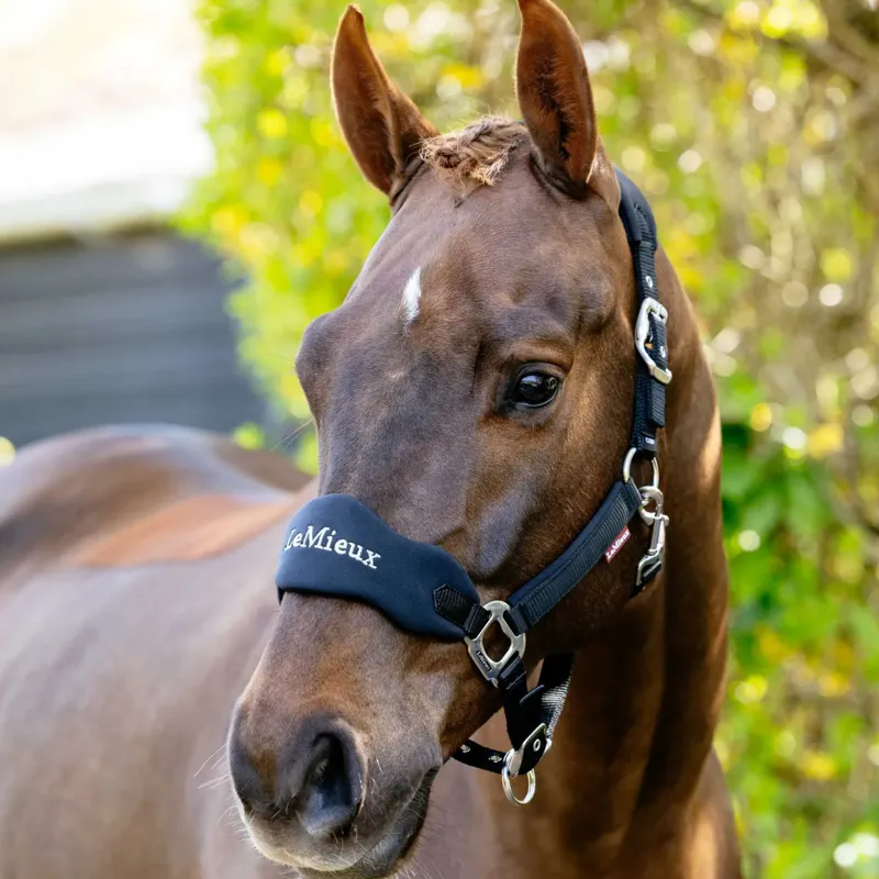 LeMieux Breakaway Vogue Headcollar in Black-1