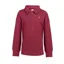 Aubrion Equestrian Quarter Zip Sweater Young Rider in Port