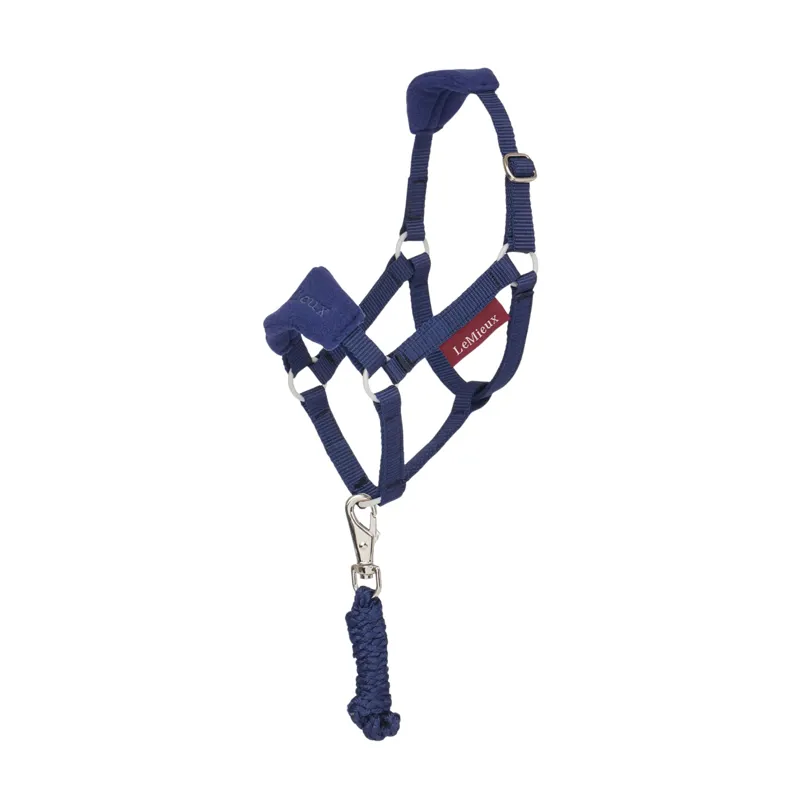 LeMieux Hobby Horse Vogue Headcollar and Leadrope in Ink Blue