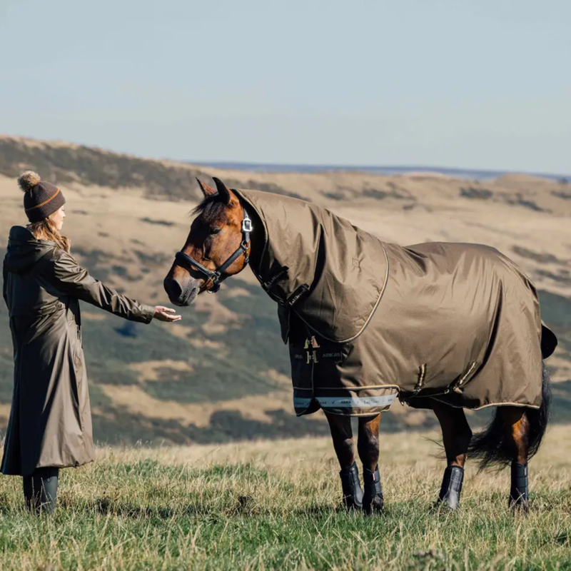 LeMieux Arika Ripstop 50g Turnout Rug in Alpine-2