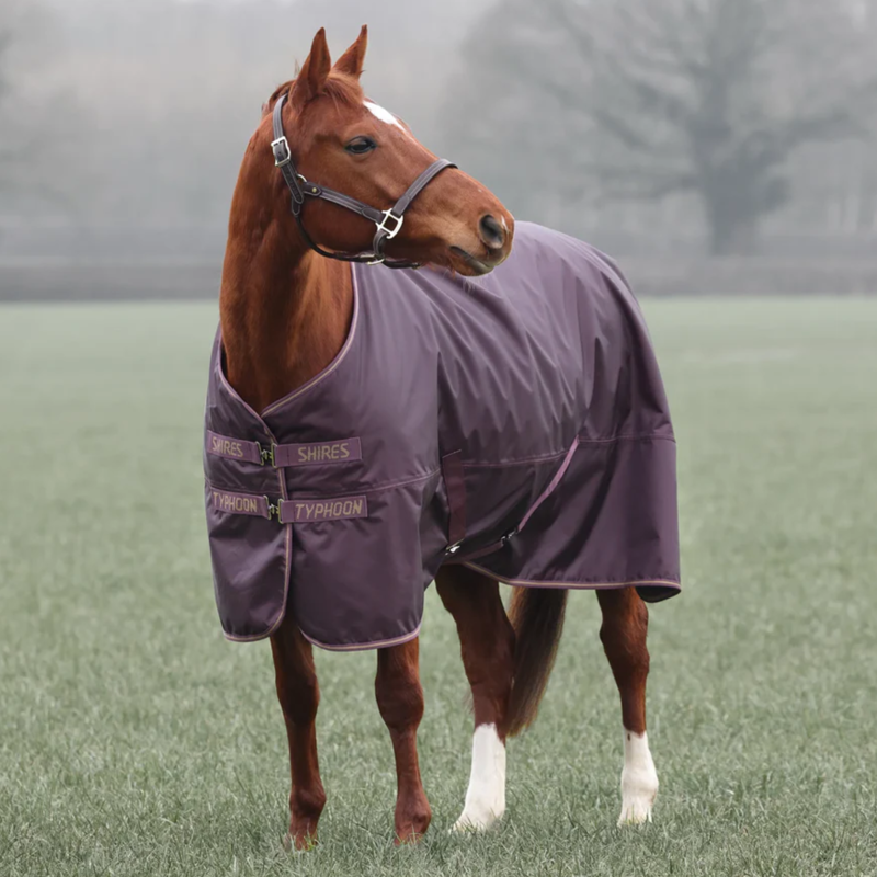 Shires Typhoon Original 100g Turnout Rug in Black and Cherry-1