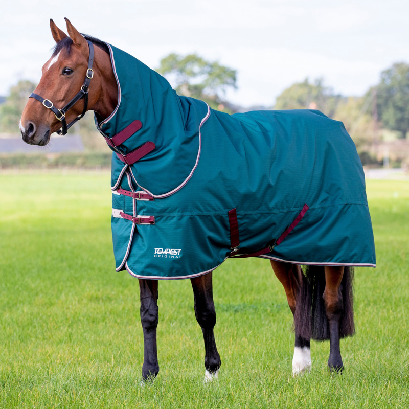 Tempest Original 200 Turnout Rug and Neck Set in Green