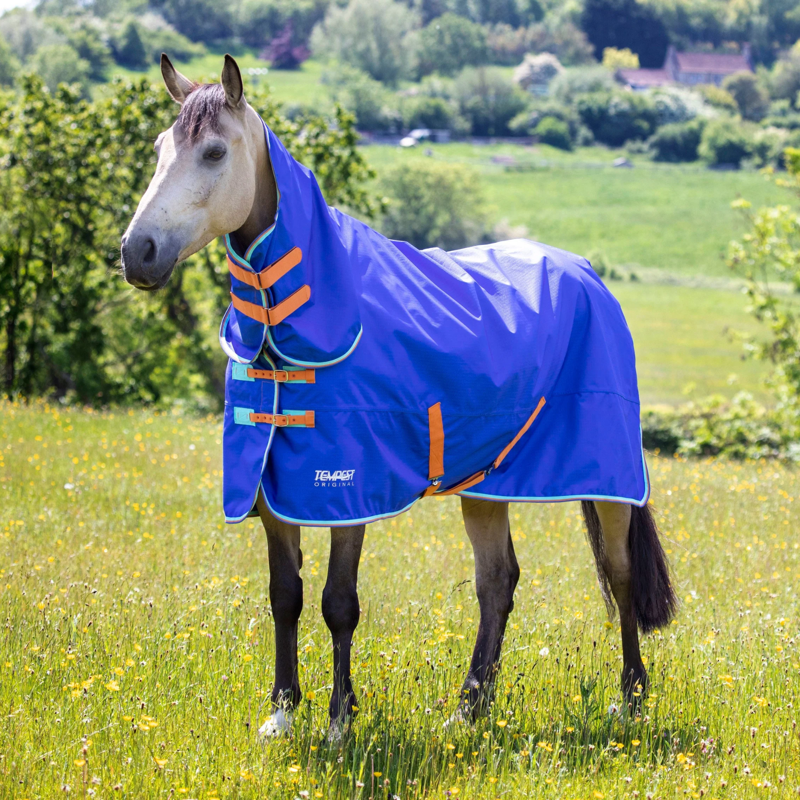 Tempest Original 50 Combo Turnout Rug in Royal Blue