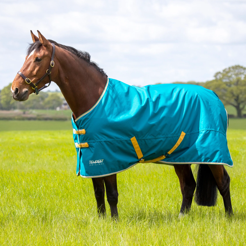 Tempest Original 50 Turnout Rug in Blue